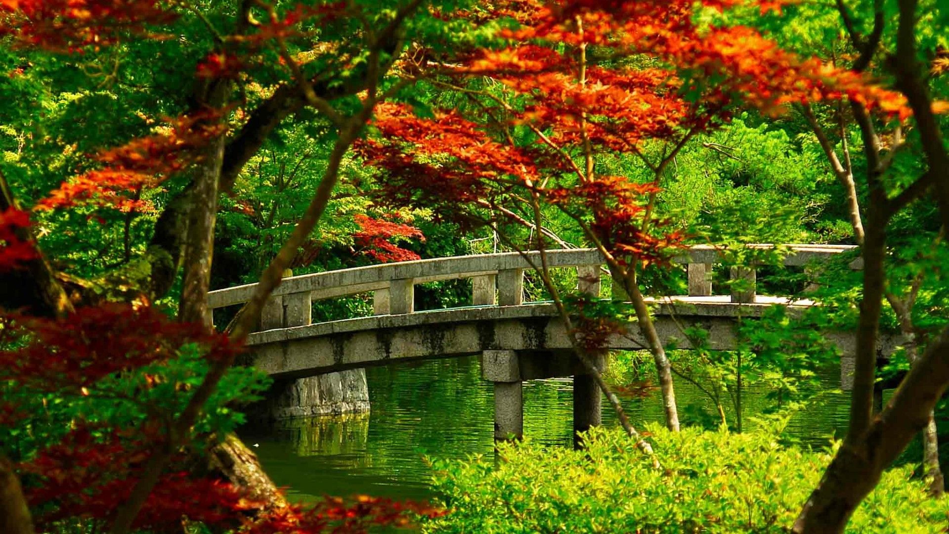 Ponte pietra giardino giapponese, 1920x1080 Full HD, Laptop