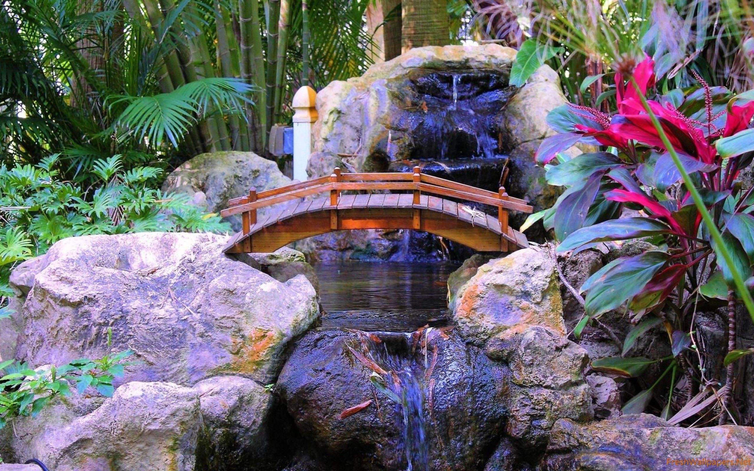 Giardino giapponese con ponte e cascata, 2560x1600 WQXGA, Desktop