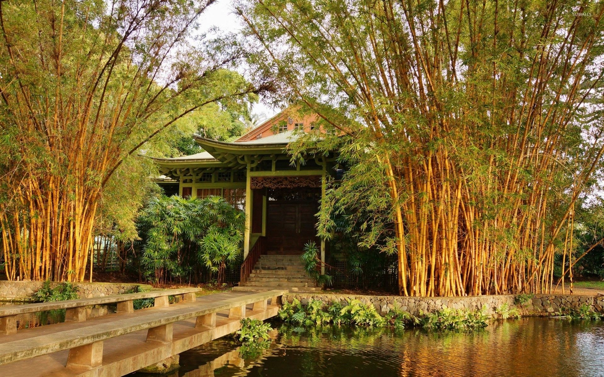 Padiglione con bambù giardino giapponese, 1920x1200 Full HD+ WUXGA, Desktop