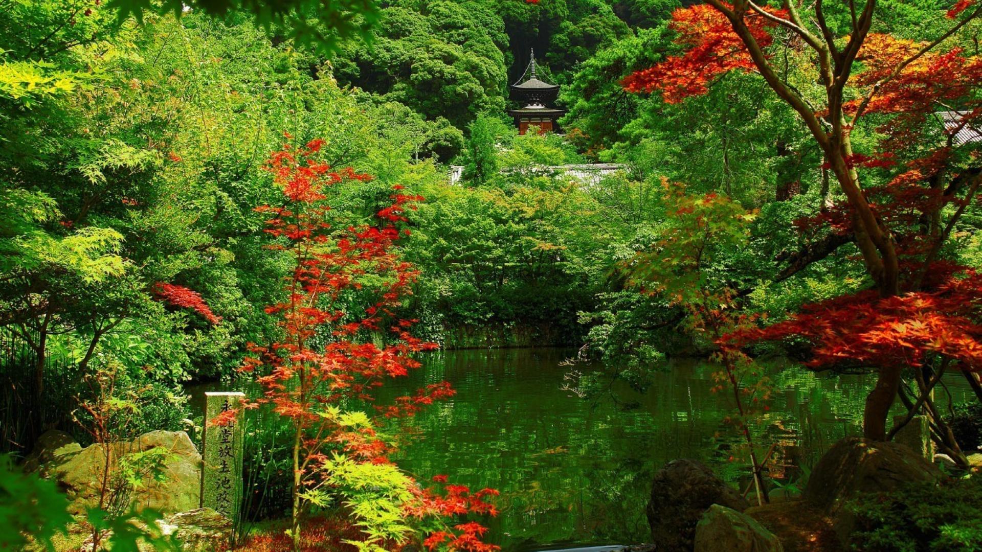 Giardino giapponese con laghetto, 1920x1080 Full HD, PC
