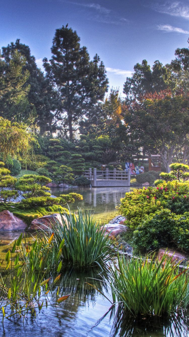 Giardino giapponese con laghetto e ponte, 750x1334 Verticale, Mobile