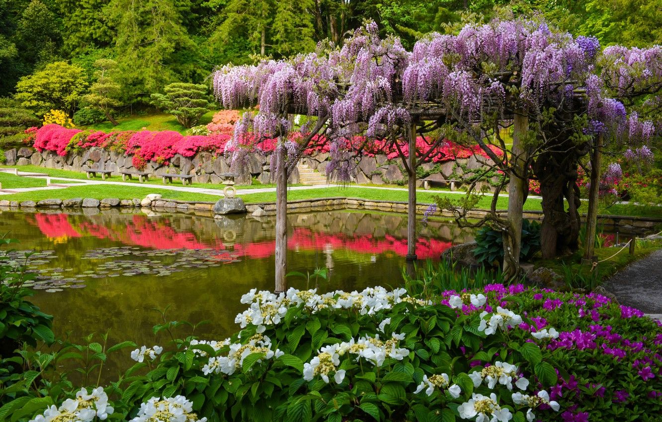 Giardino giapponese con laghetto, 1332x850 720p, PC