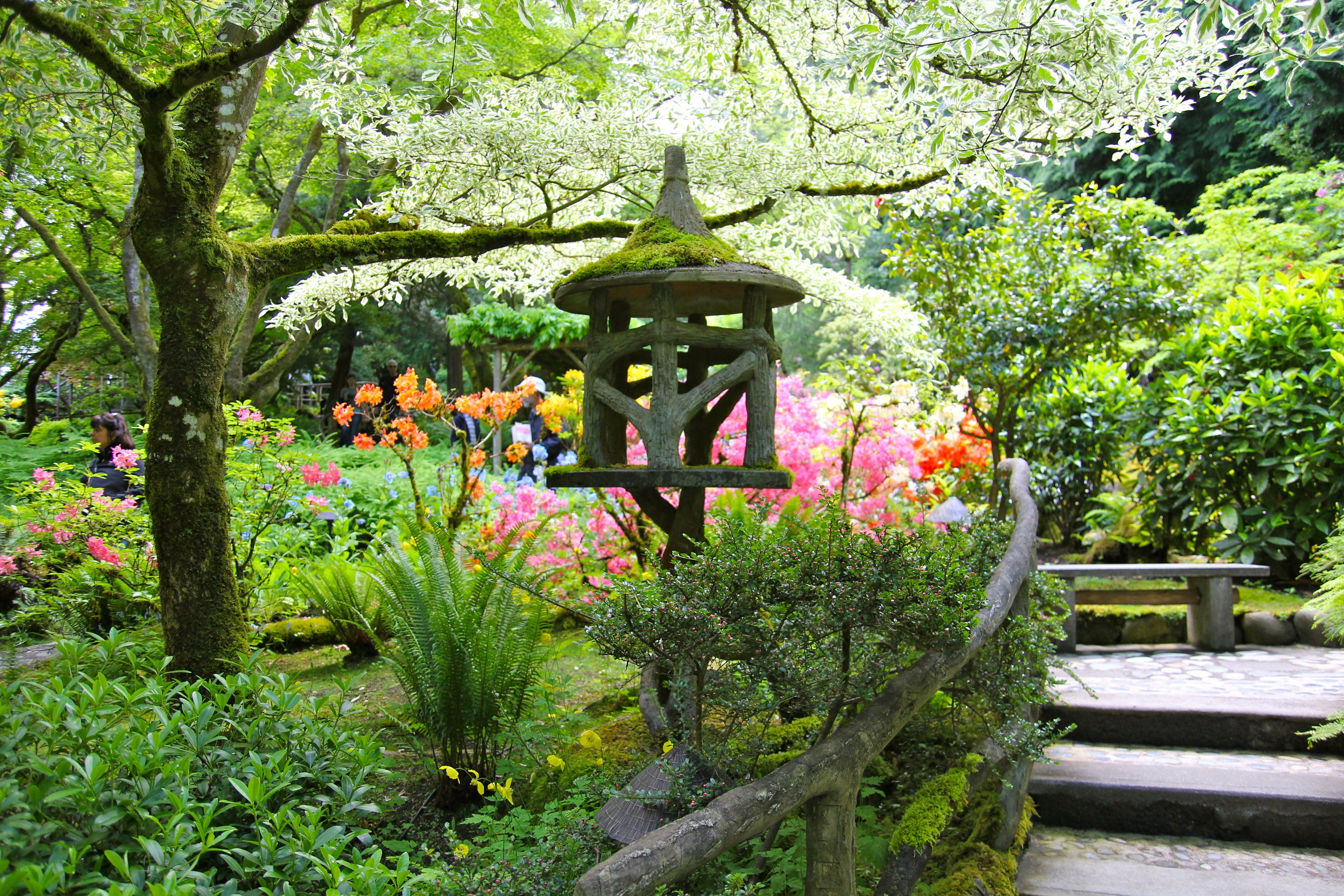 Giardino giapponese con lanterna in pietra, 5184x3456 4K Ultra HD, Monitor 4K