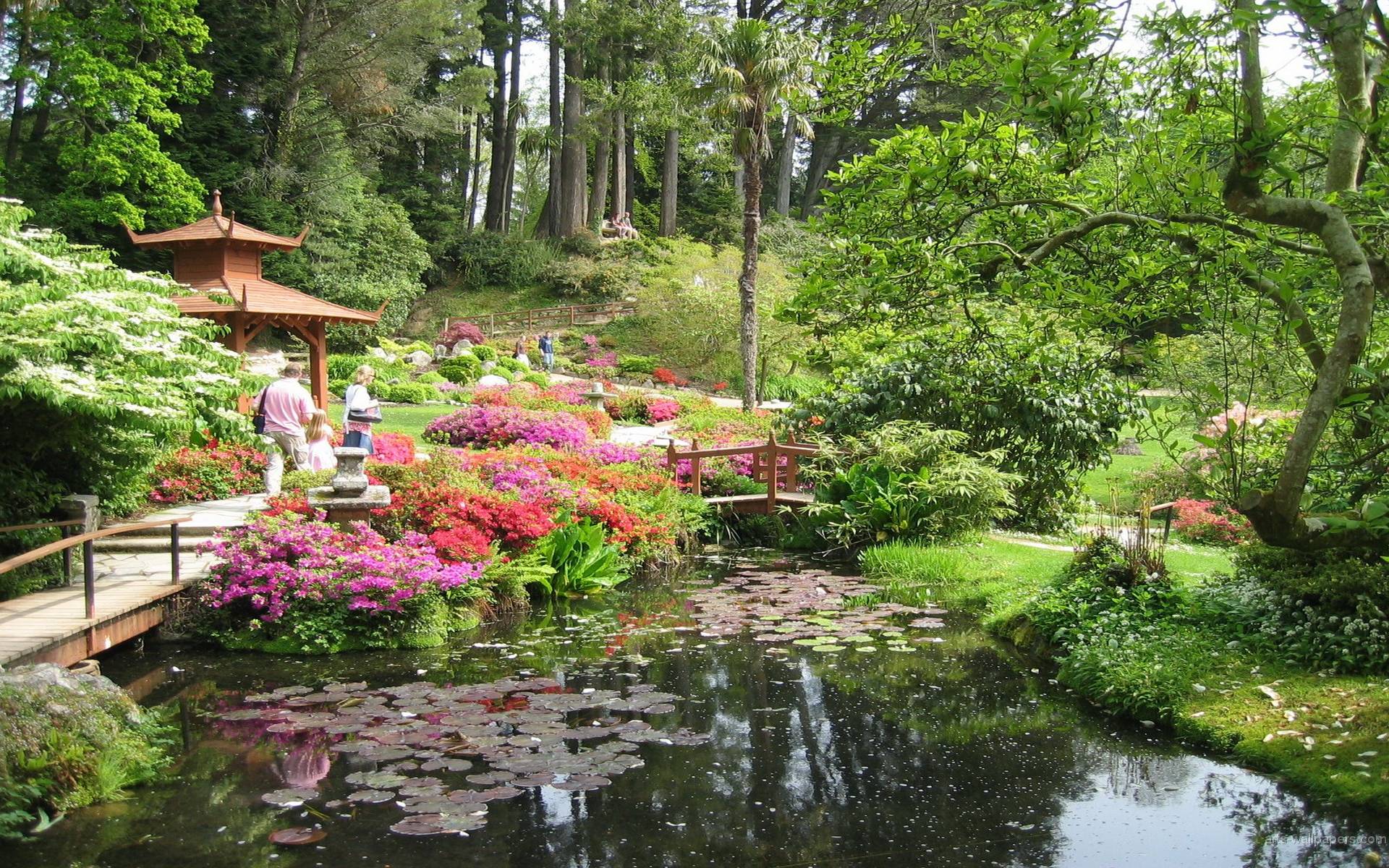 Giardino giapponese con laghetto, 1920x1200 Full HD+, Desktop