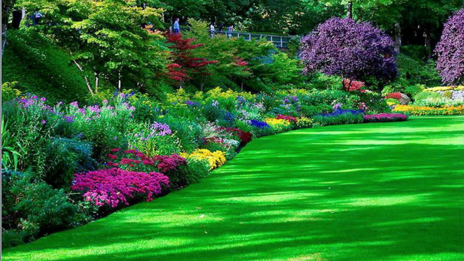 Giardino fiorito con prato verde, 1600x900 900p, Desktop