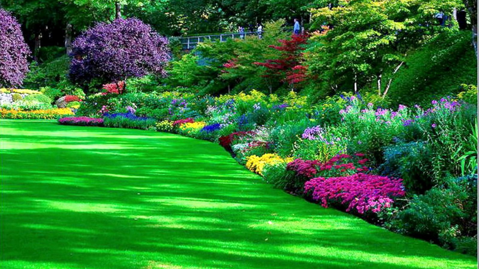 Giardino fiorito colorato verde, 1600x900 900p, iMac