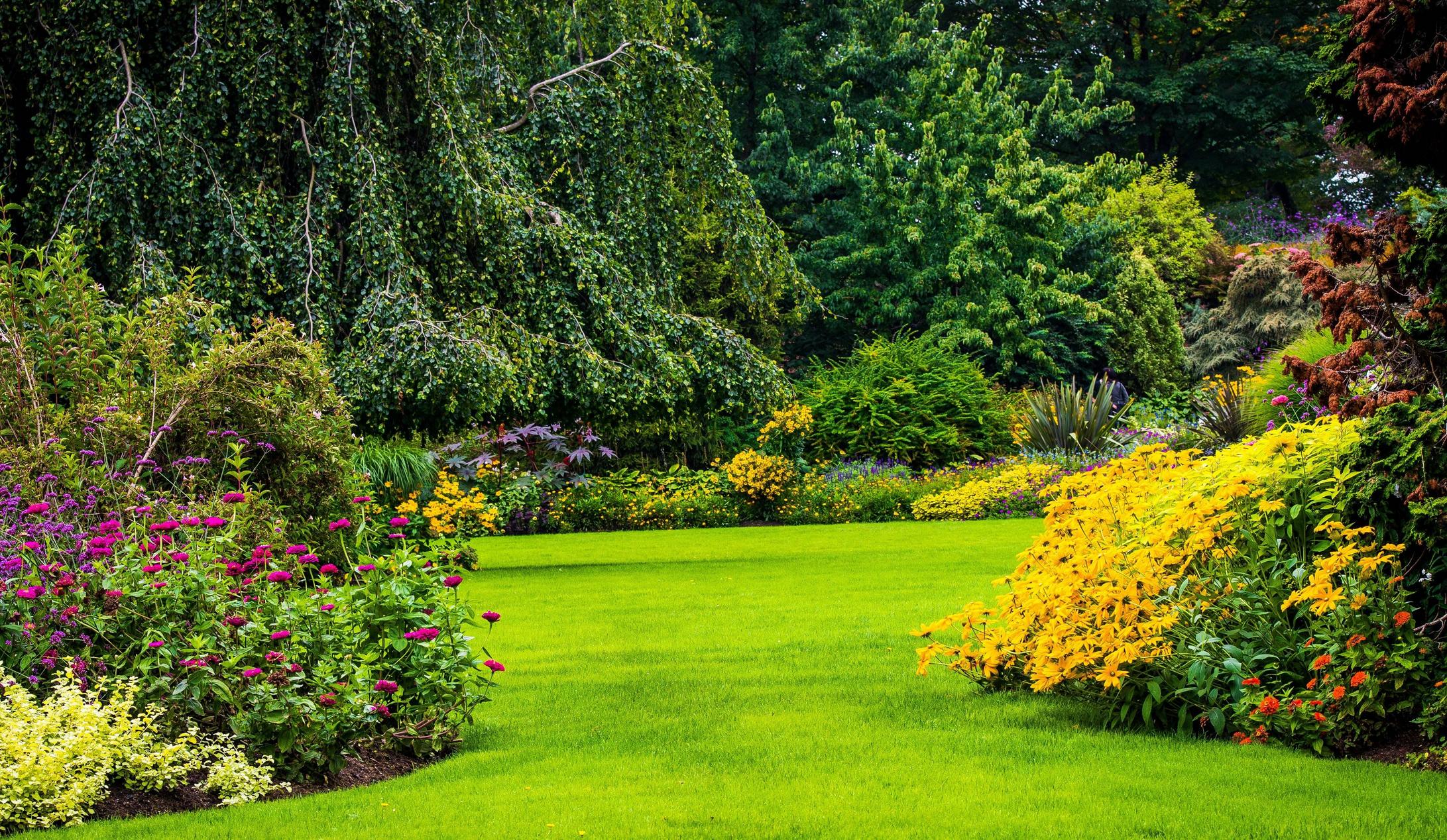 Giardino verde con fiori, 4365x2535 4K, Desktop 4K