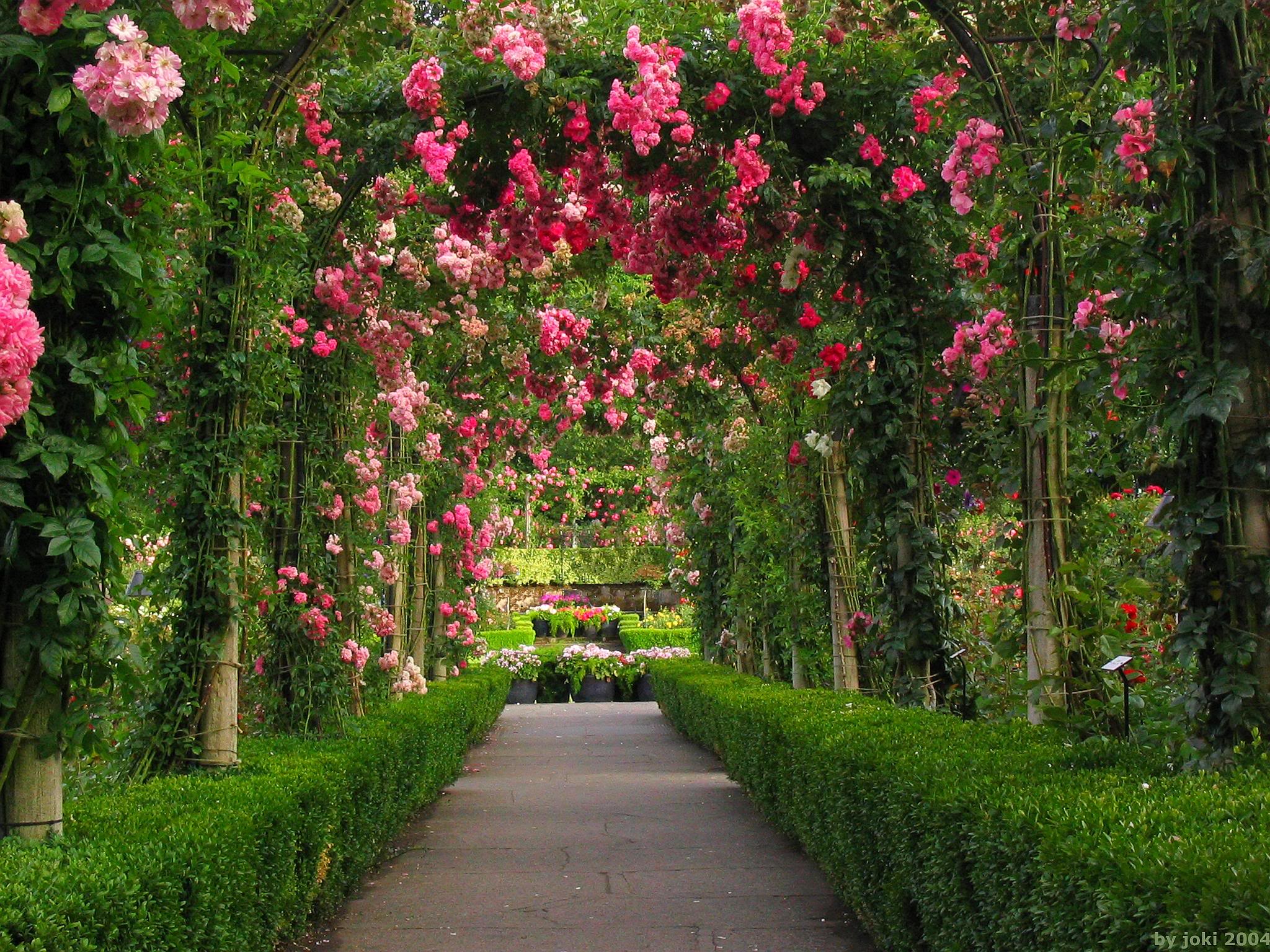 Sentiero giardino rose rampicanti, 2048x1536 alta risoluzione, Laptop