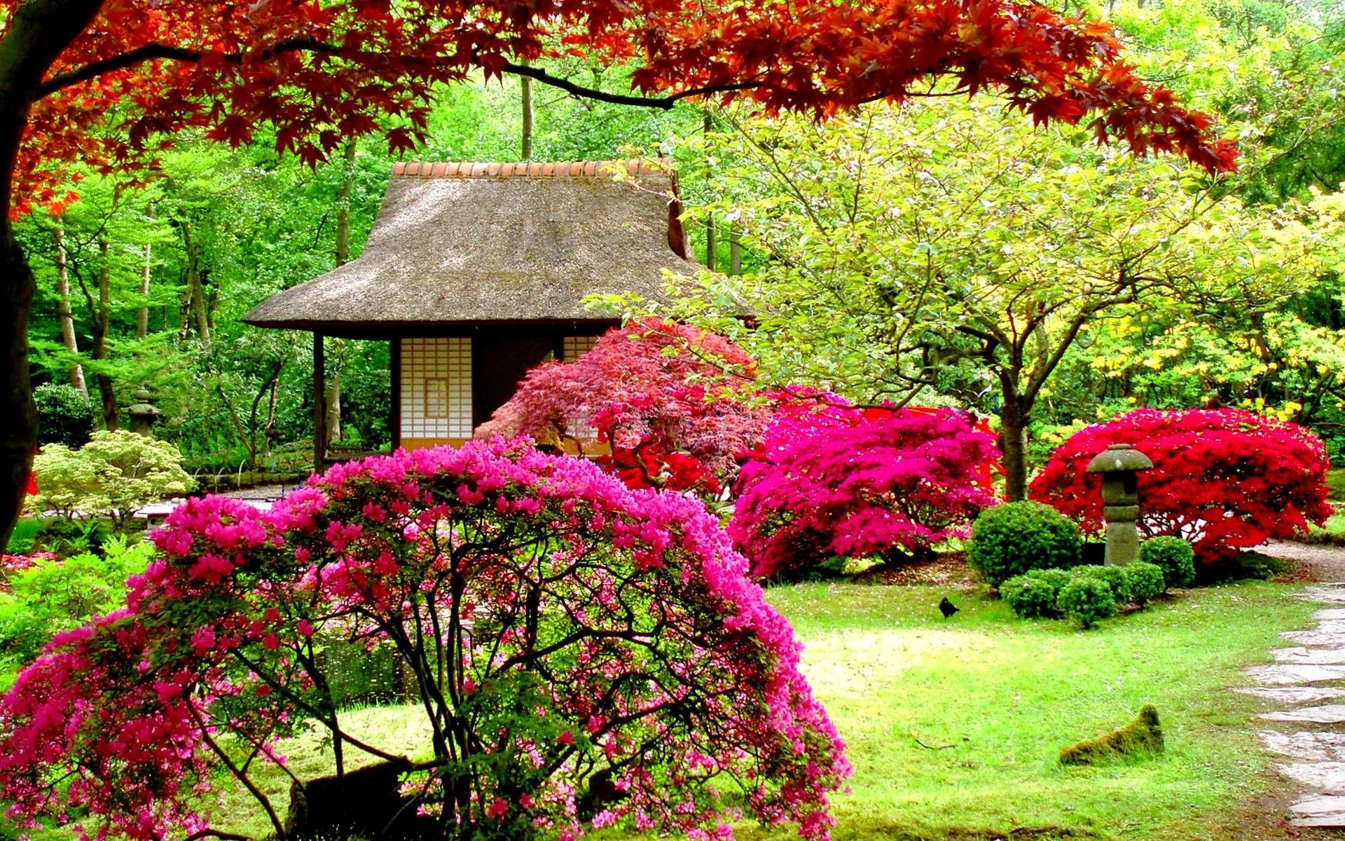 Giardino giapponese con fiori, 1920x1200 Full HD+, Desktop