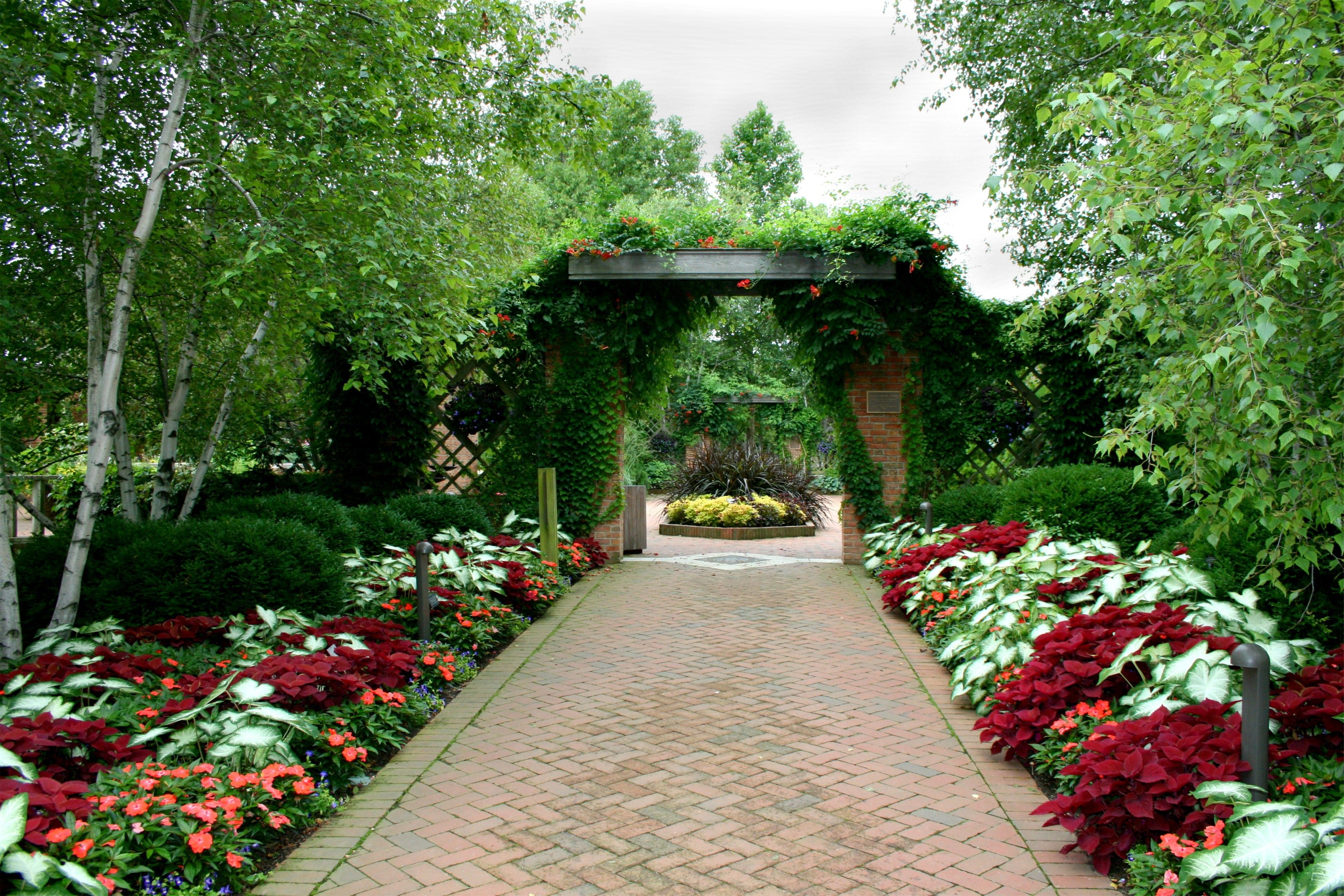 Sentiero giardino con archi verdi, 3888x2592 4K, Desktop 4K