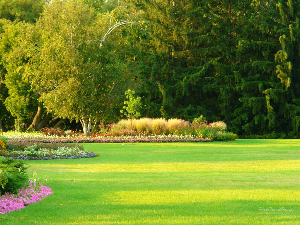 Giardino verde con aiuole fiorite, 1024x768 HD, Desktop