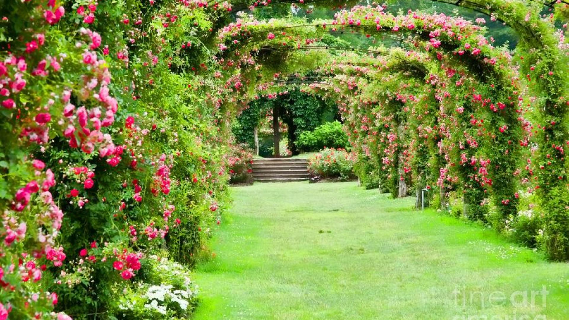 Giardino con archi di rose, 1920x1080 1080p, Desktop