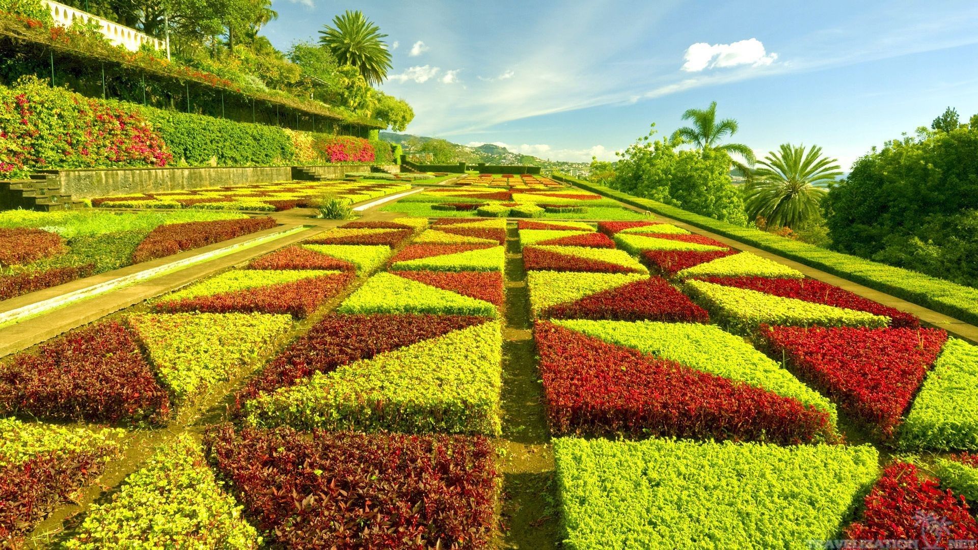 Giardino geometrico colorato con fiori, 1920x1080 Full HD 1080p, Laptop