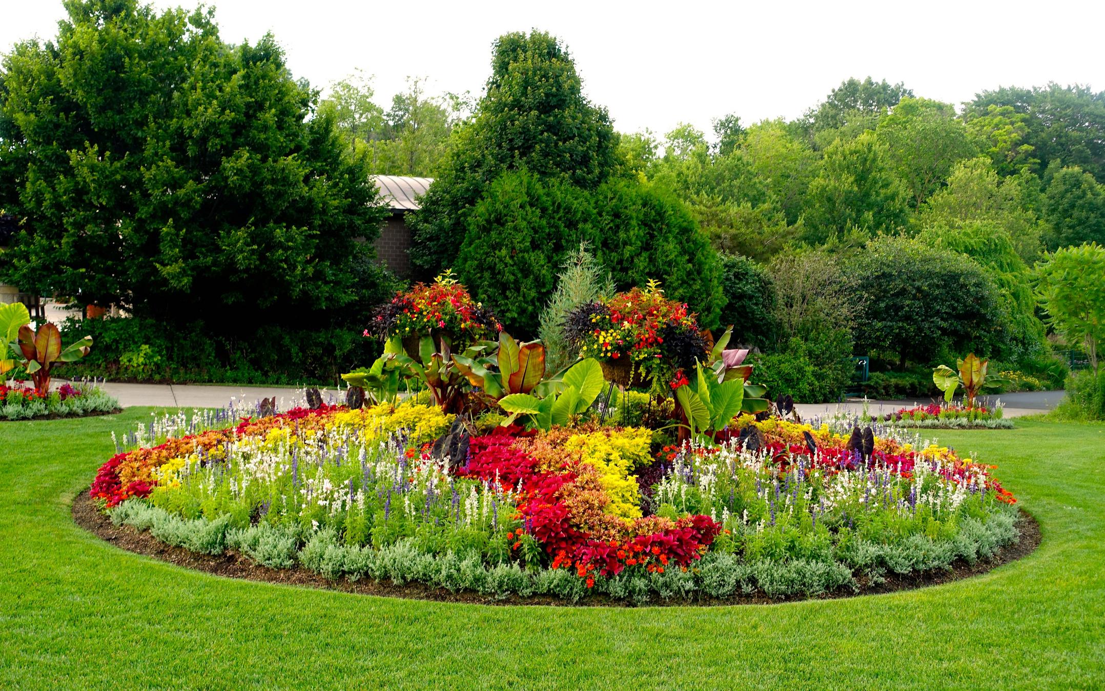 Giardino con aiuola fiorita colorata, 5389x3369 Ultra HD, 4K TV