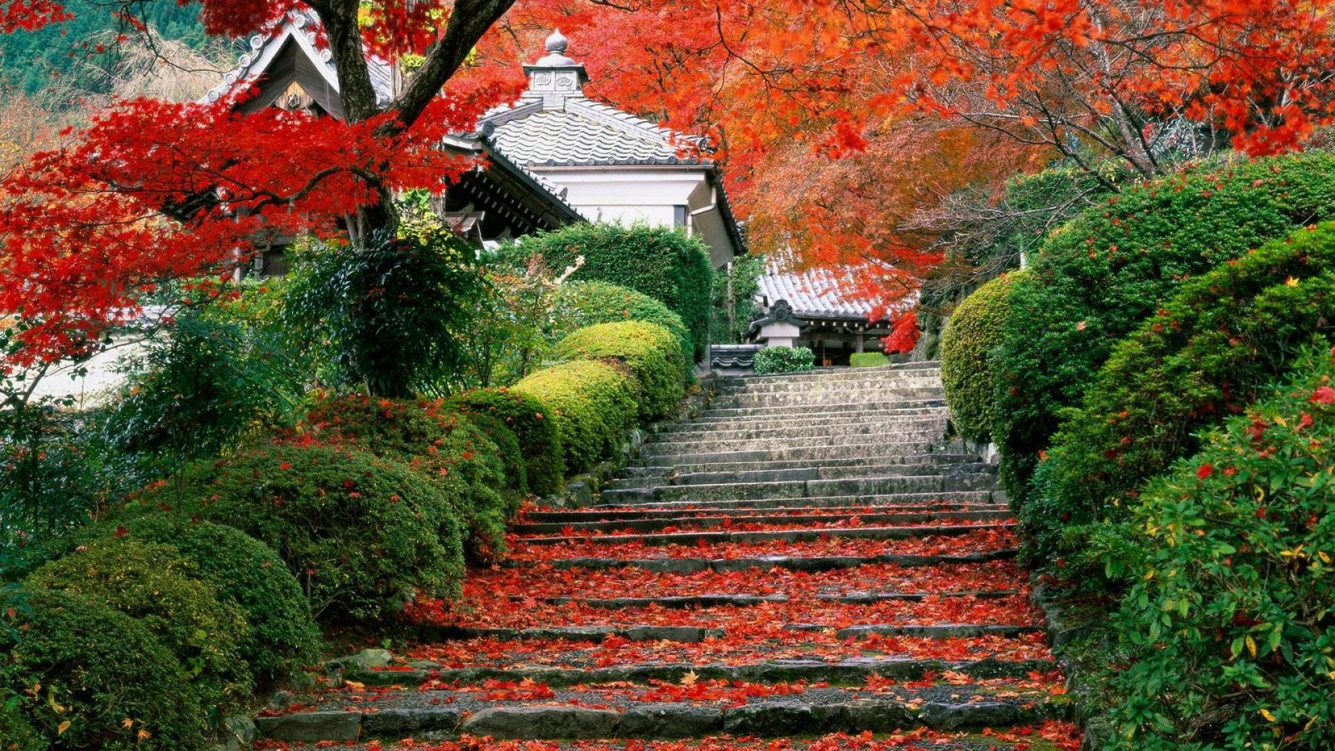 Giardino giapponese autunnale con scalinata, 1920x1080 1080p, Desktop