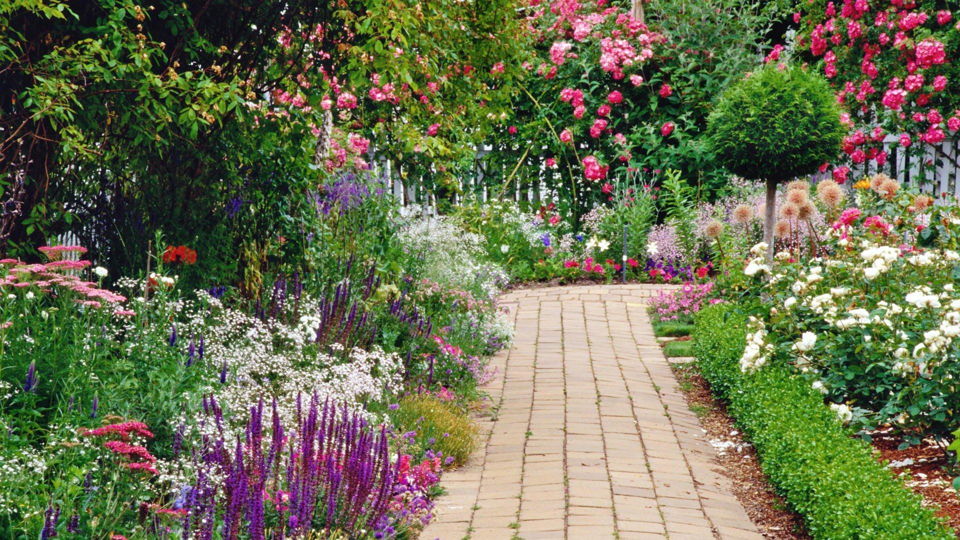 Sentiero giardino fiorito colorato, 1920x1080 Full HD 1080p, PC Desktop