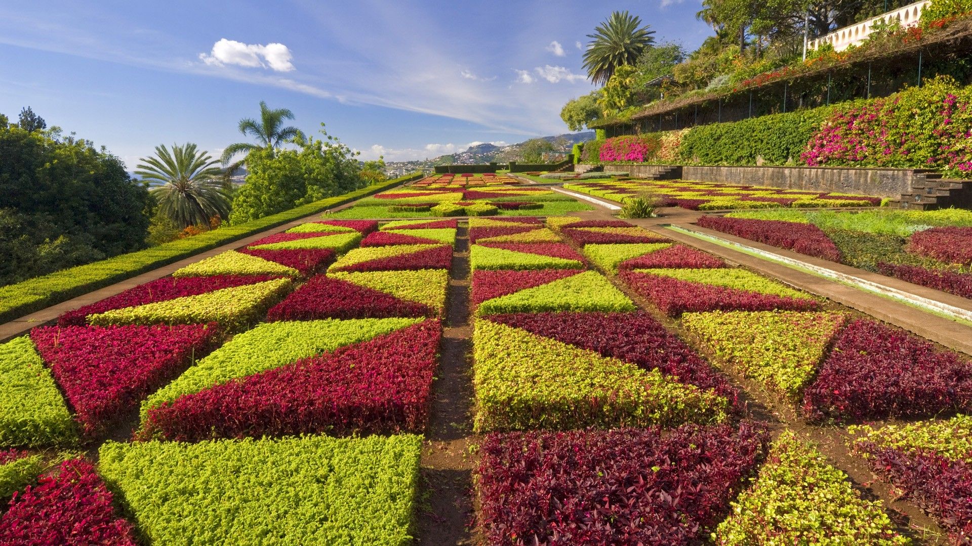 Giardino geometrico fiori colorati, 1920x1080 Full HD, PC Desktop