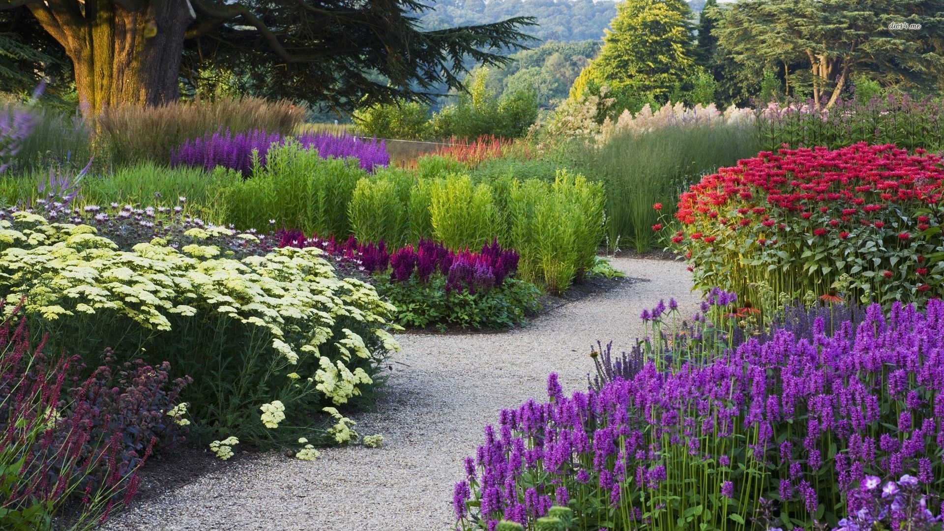 Sentiero in giardino fiorito colorato, 1920x1080 Full HD 1080p, PC Desktop