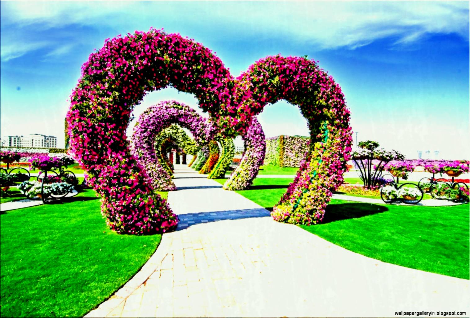 Archi a cuore di fiori giardino, 1516x1026 720p, PC