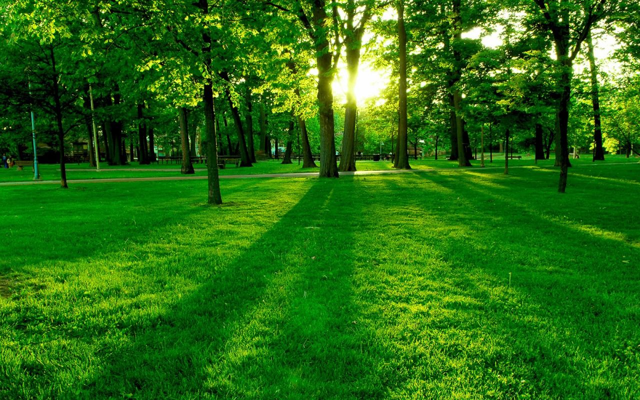 Parco verde con sole, 1280x800 720p, Laptop