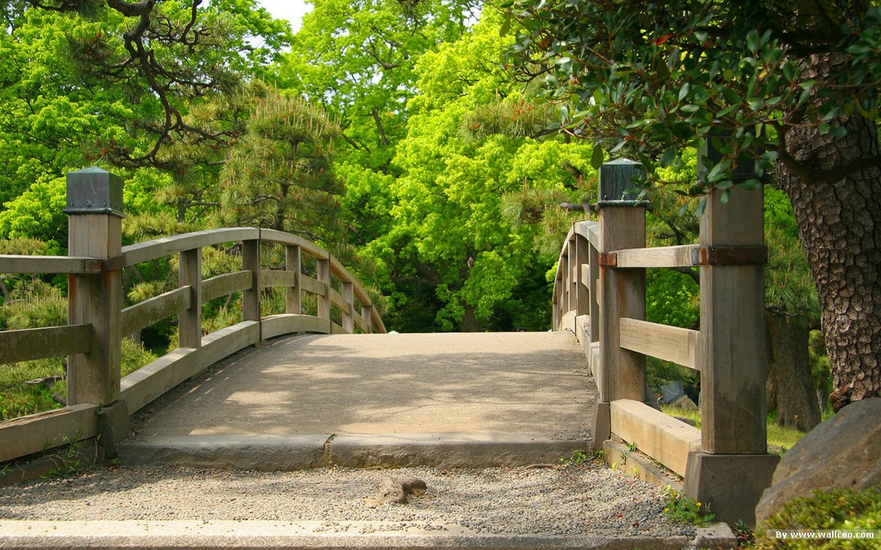 Ponte di legno in giardino verde, 1280x800 720p, Laptop