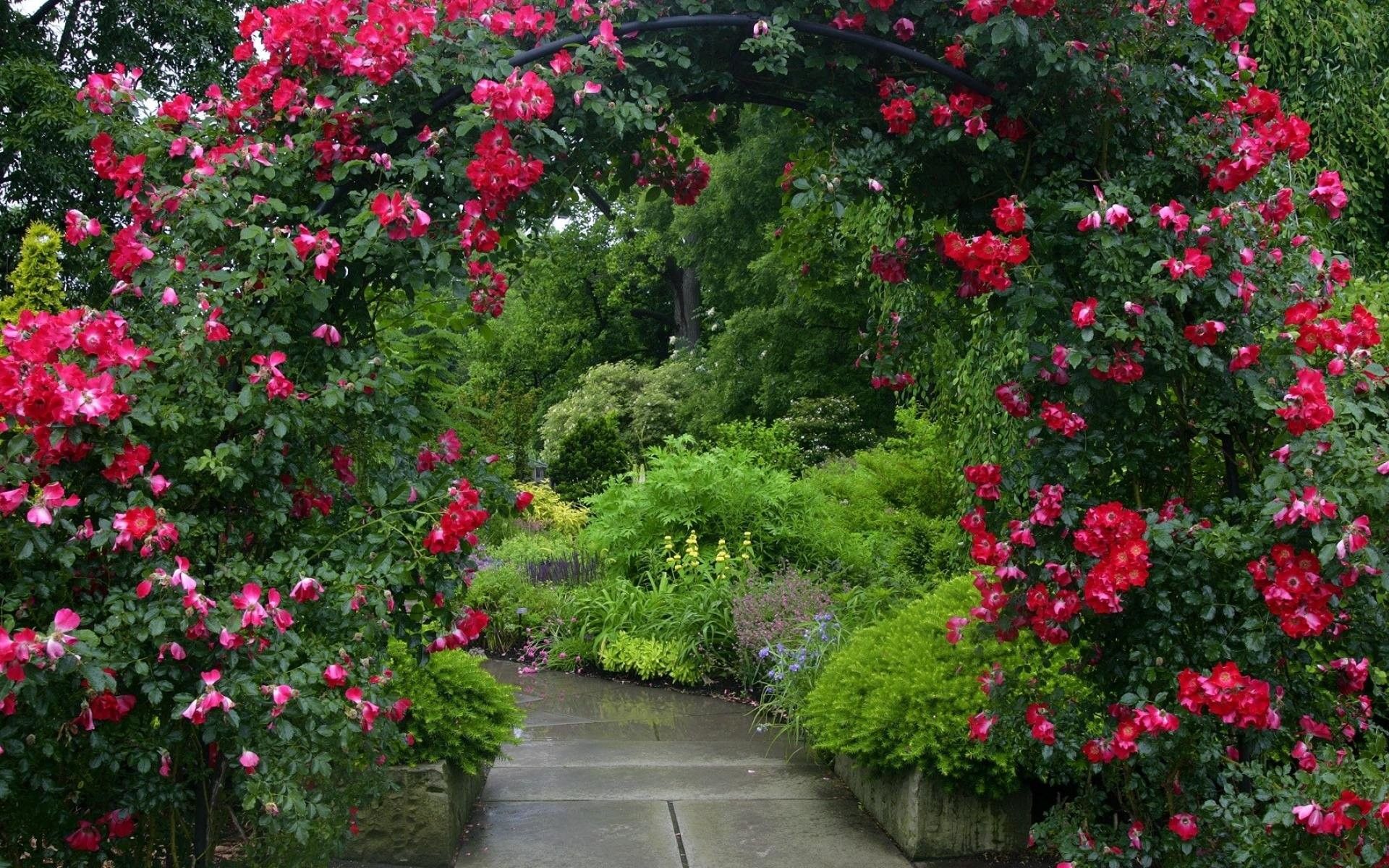 Arco di rose rosse giardino, 1920x1200 Full HD+ WUXGA, Laptop