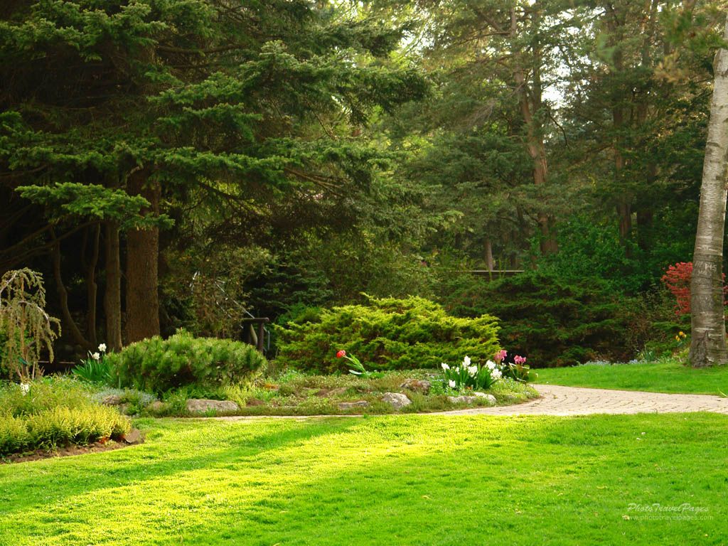 Giardino con prato e alberi, 1024x768 HD, PC