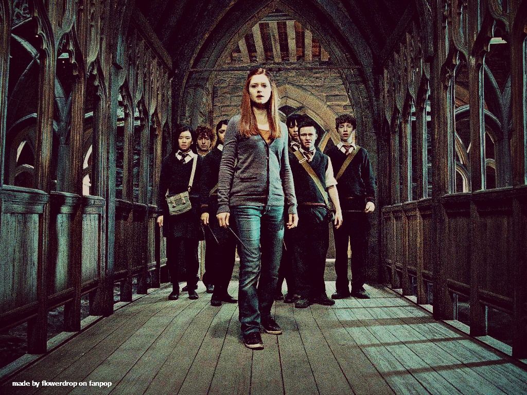 Harry Potter Ordine della Fenice, 1600x1200 HD, Laptop