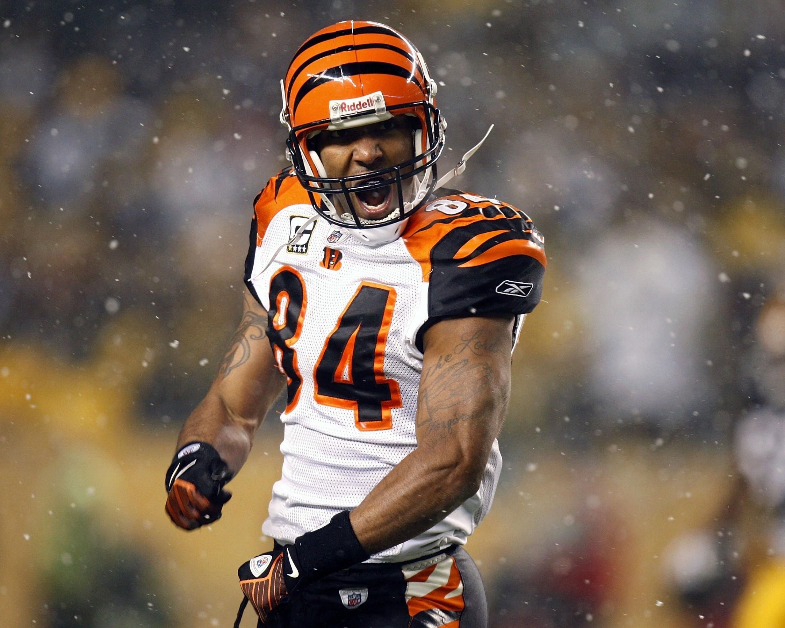 Giocatore Cincinnati Bengals esulta, NFL, 2560x2048 WQXGA, Desktop