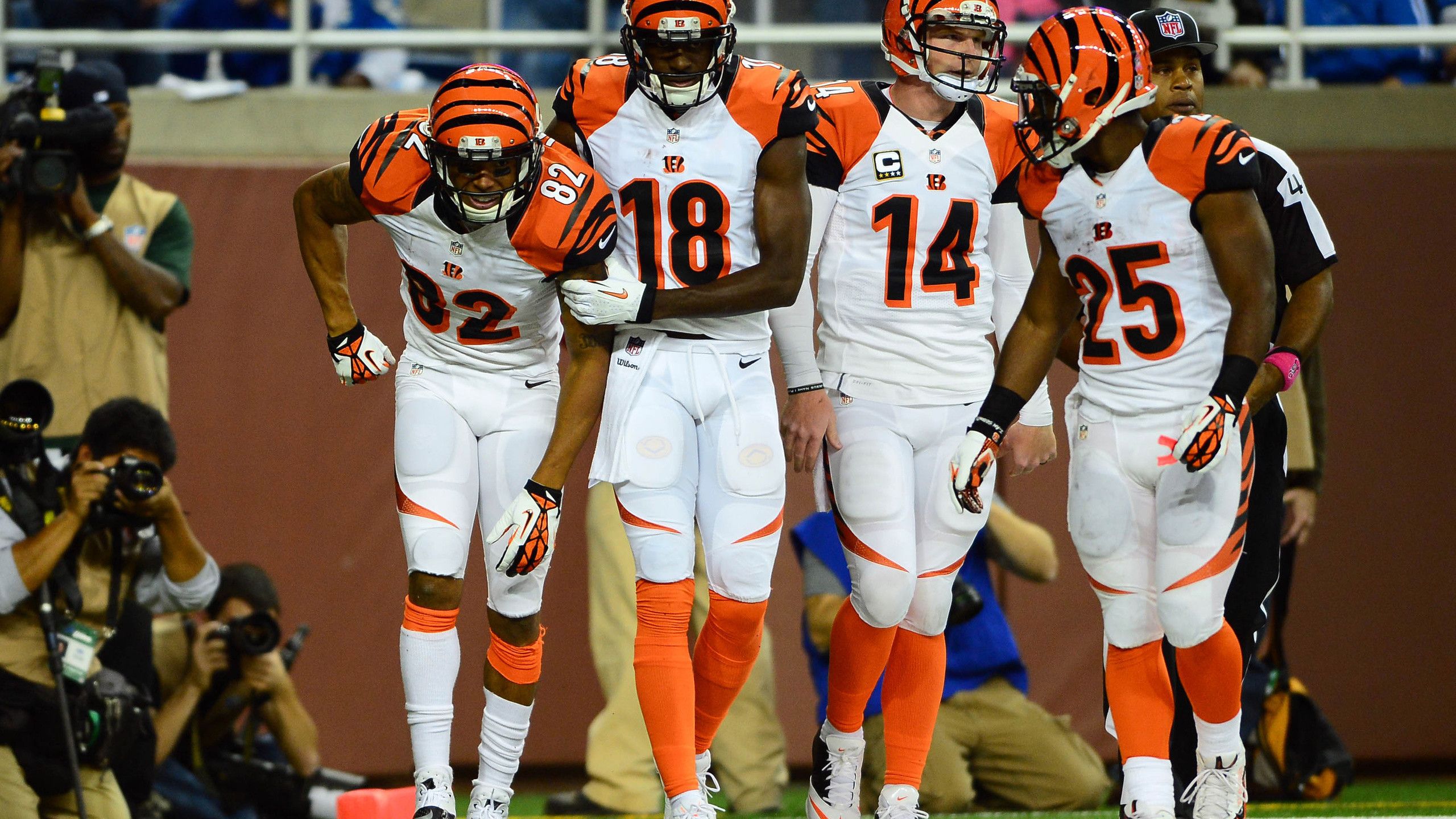 Giocatori Cincinnati Bengals in campo, football americano, 2560x1440 2K QHD, PC