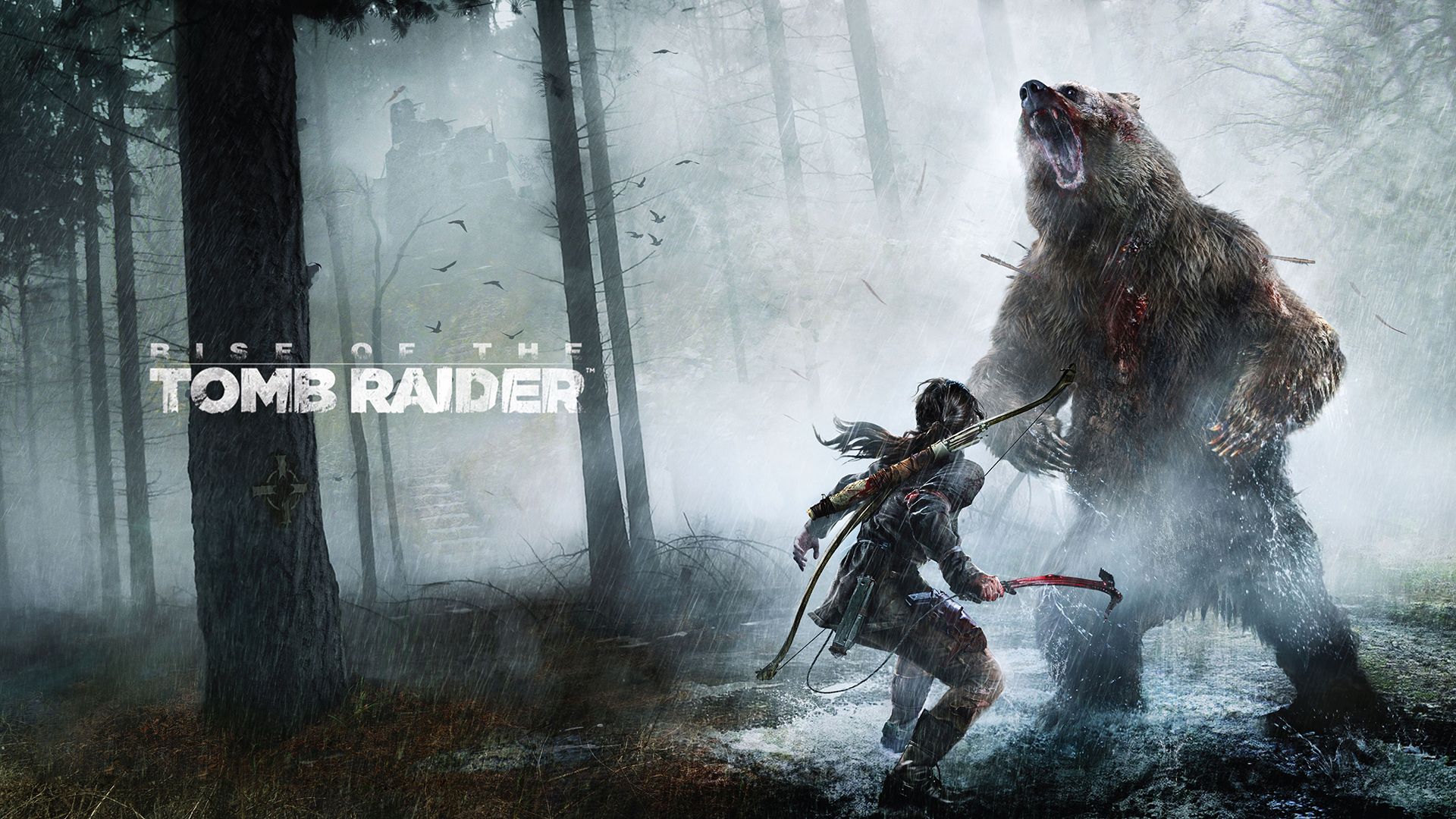 Lara Croft Rise Tomb Raider orso, 1920x1080 Full HD, Laptop