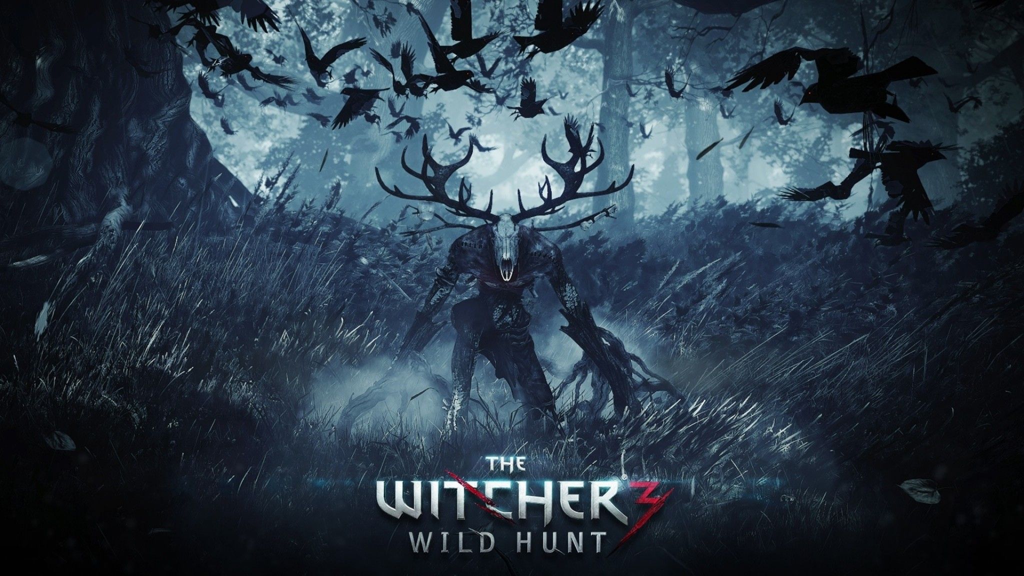 The Witcher 3 Wild Hunt, RPG, 2048x1152 2K, Desktop