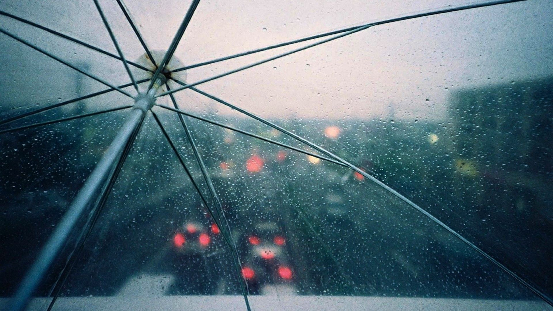 Ombrello trasparente sotto pioggia, 1920x1080 Full HD, Desktop