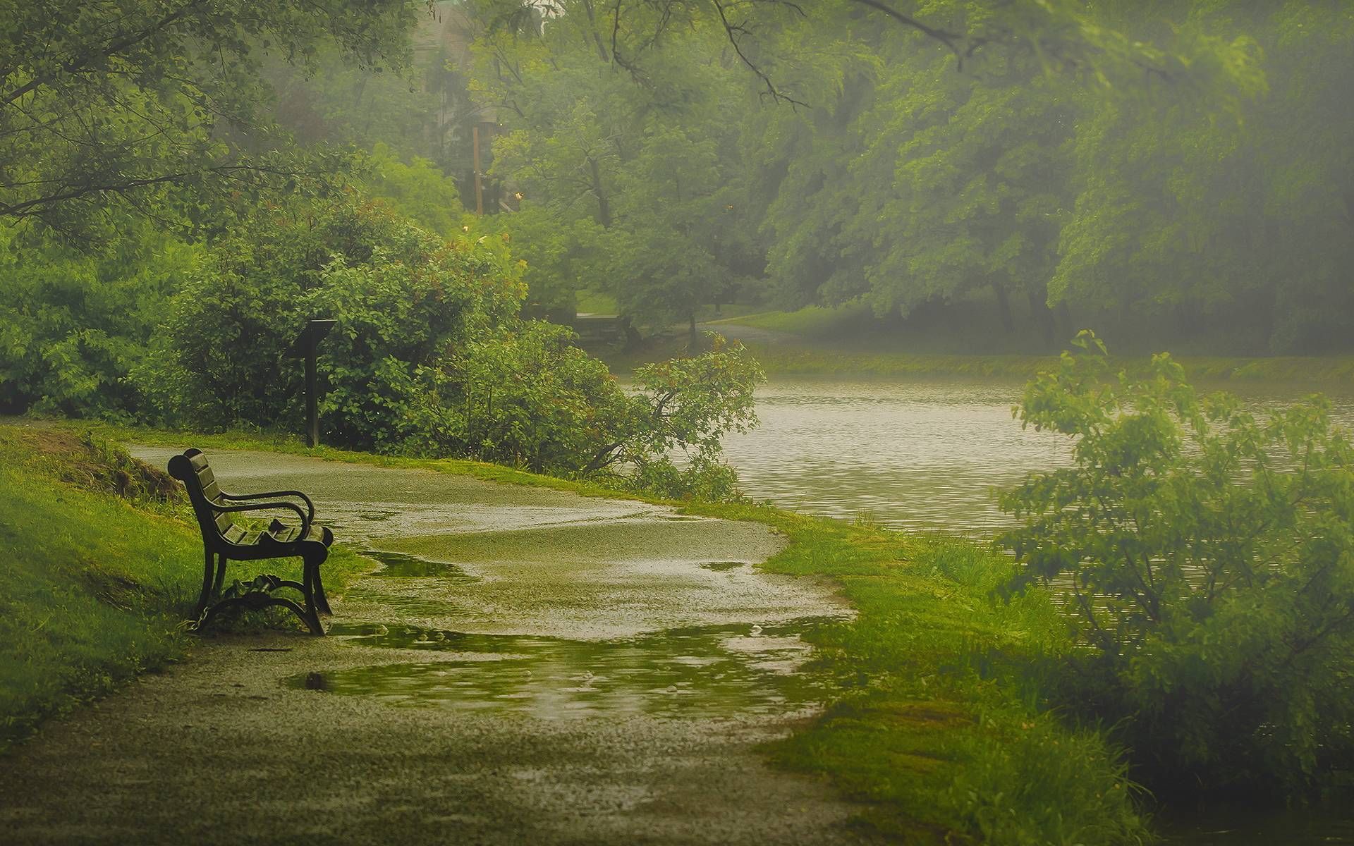 panchina parco pioggia verde, 1920x1200 Full HD+ WUXGA, Desktop