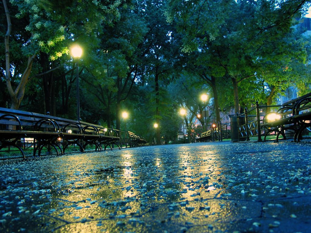 parco piovoso di notte, 1024x768 HD, PC