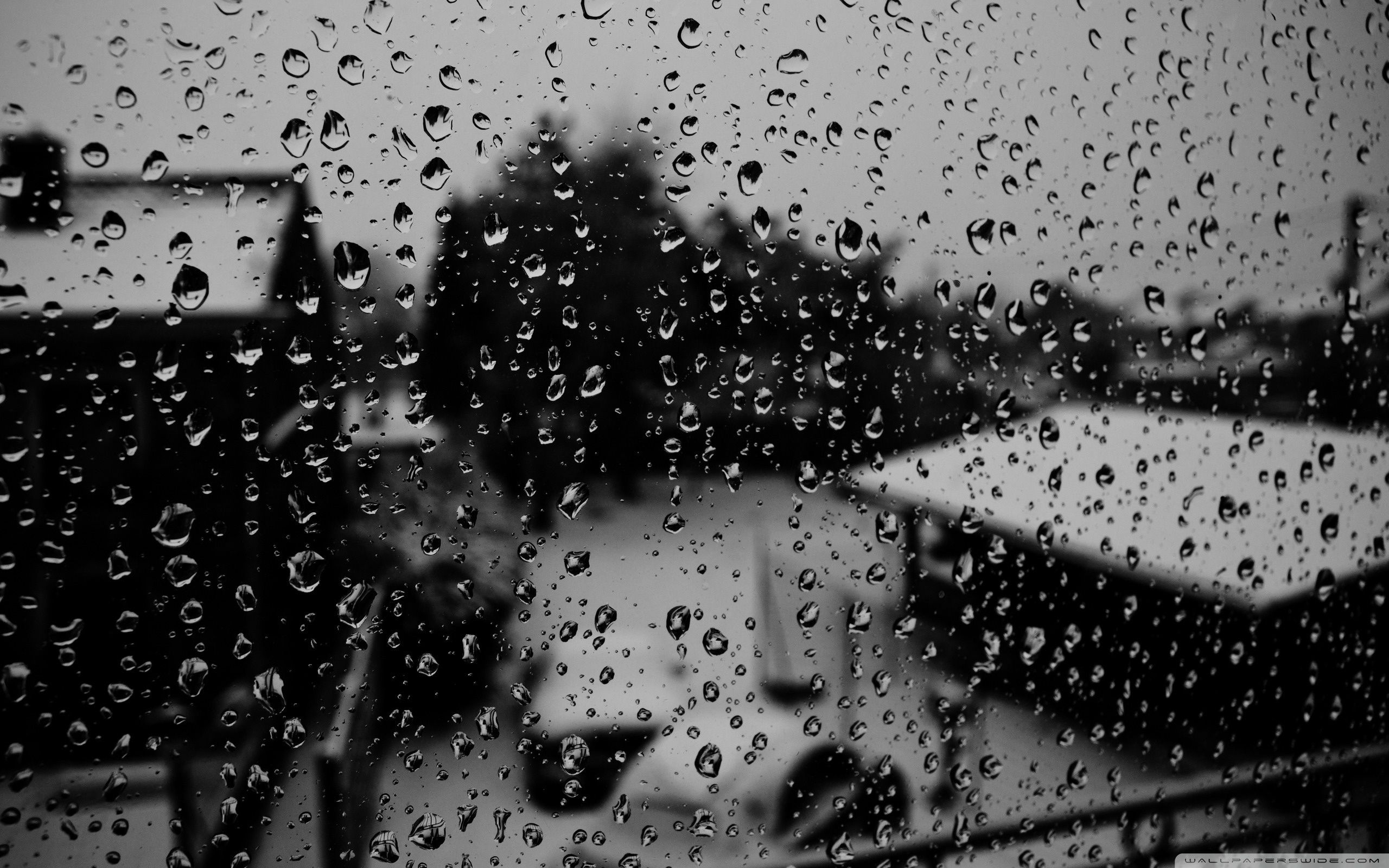stazione treno pioggia dipinto, 2560x1600 WQXGA, Laptop