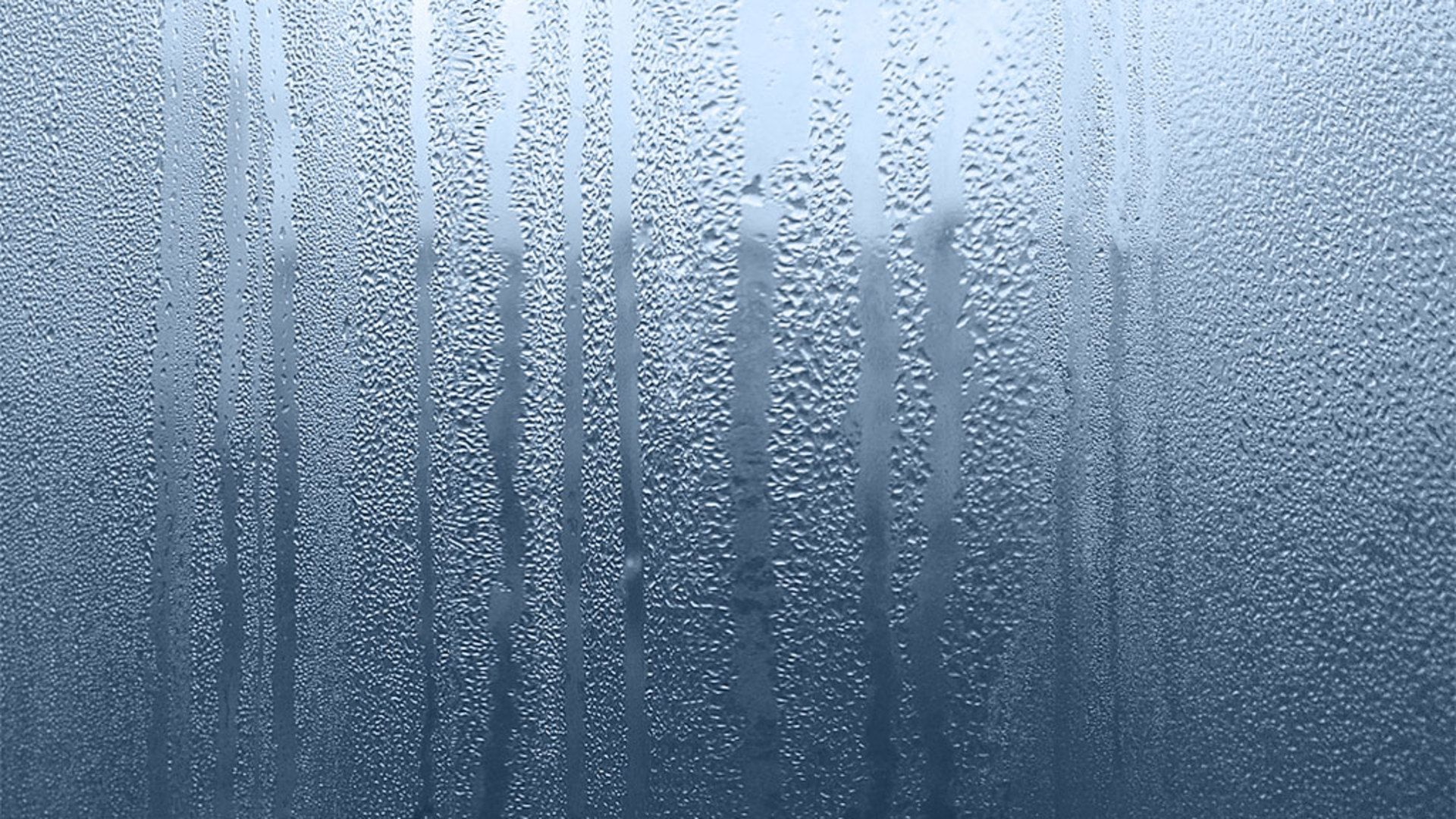 Albero solitario sotto pioggia verde, 1920x1200 WUXGA, PC Desktop