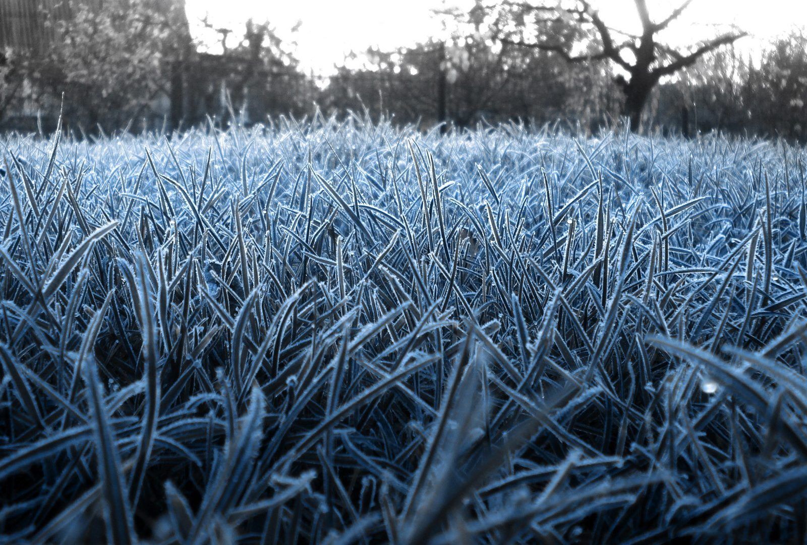 gocce di pioggia su vetro, 1920x1080 1080p, Laptop