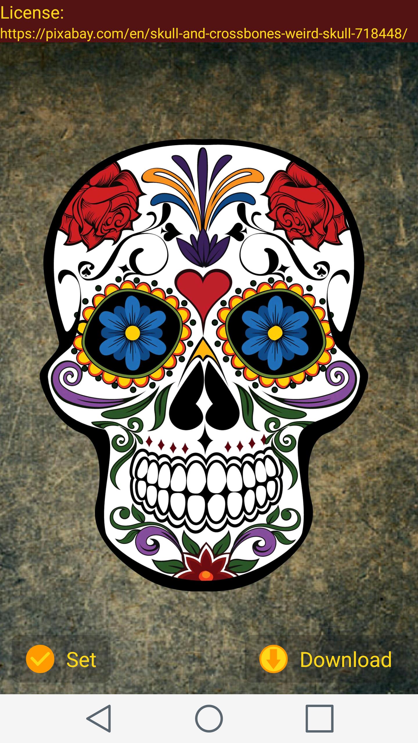 Teschio messicano Dia de los Muertos, 1440x2560 Full HD Verticale, Smartphone