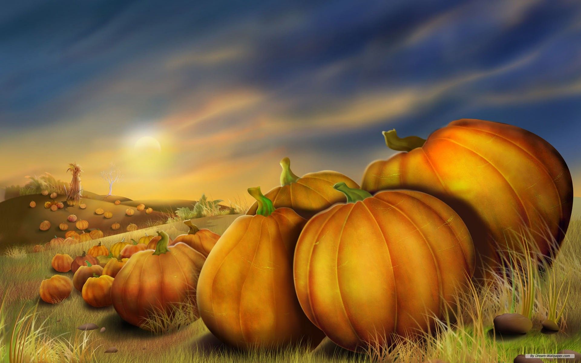 Zucche arancioni al tramonto, 1920x1200 WUXGA, PC