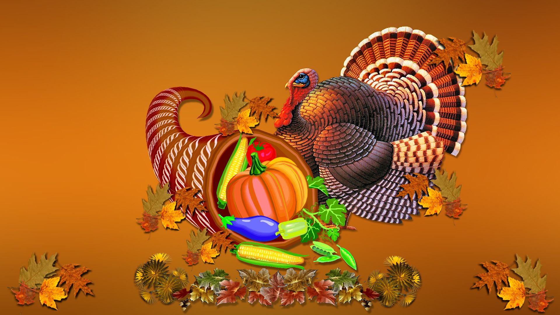 Tacchino e cornucopia autunnale, 1920x1080 1080p, PC Desktop
