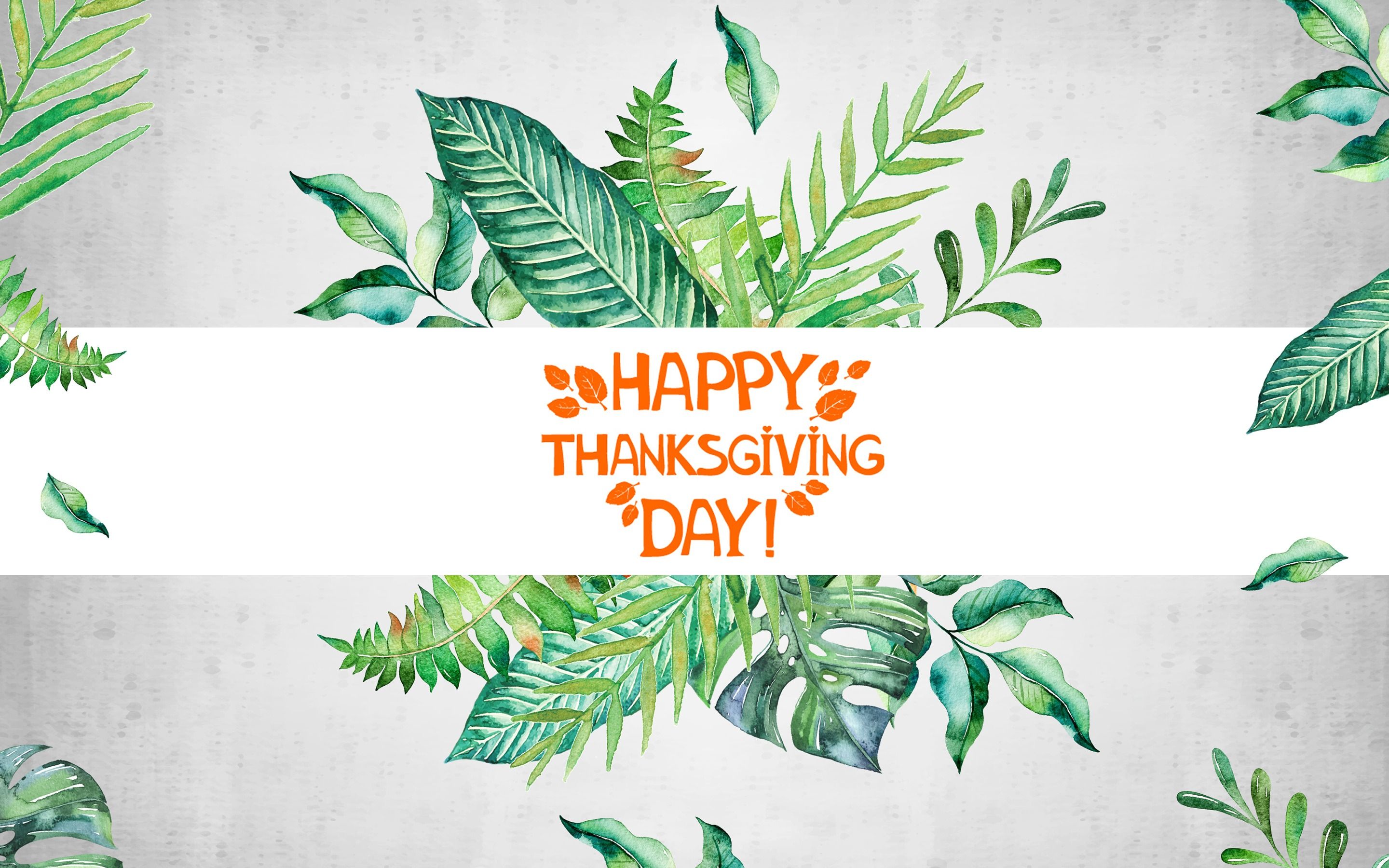 Happy Thanksgiving Day foglie verdi, 2880x1800 2K, Desktop