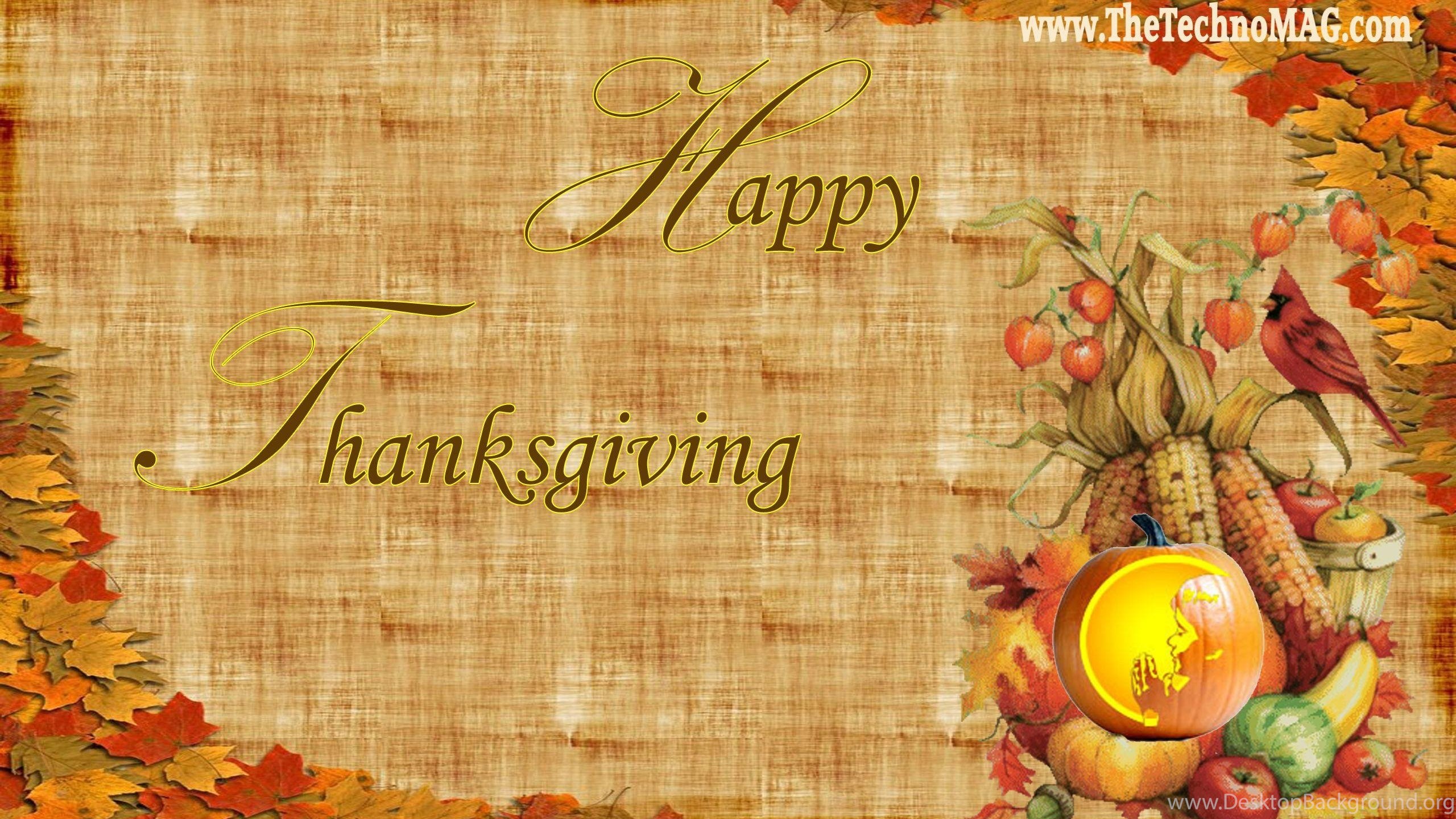 Happy Thanksgiving corno abbondanza, 2560x1440 2K QHD, PC