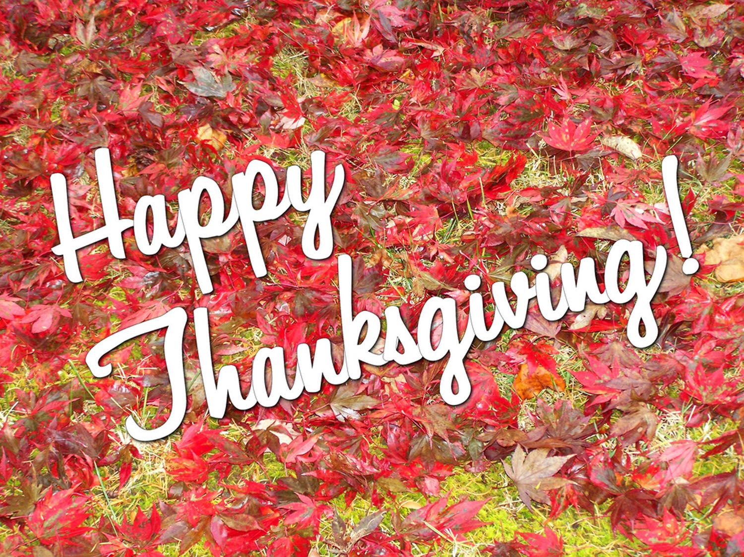 Happy Thanksgiving foglie rosse autunnali, 1500x1123 720p, Laptop