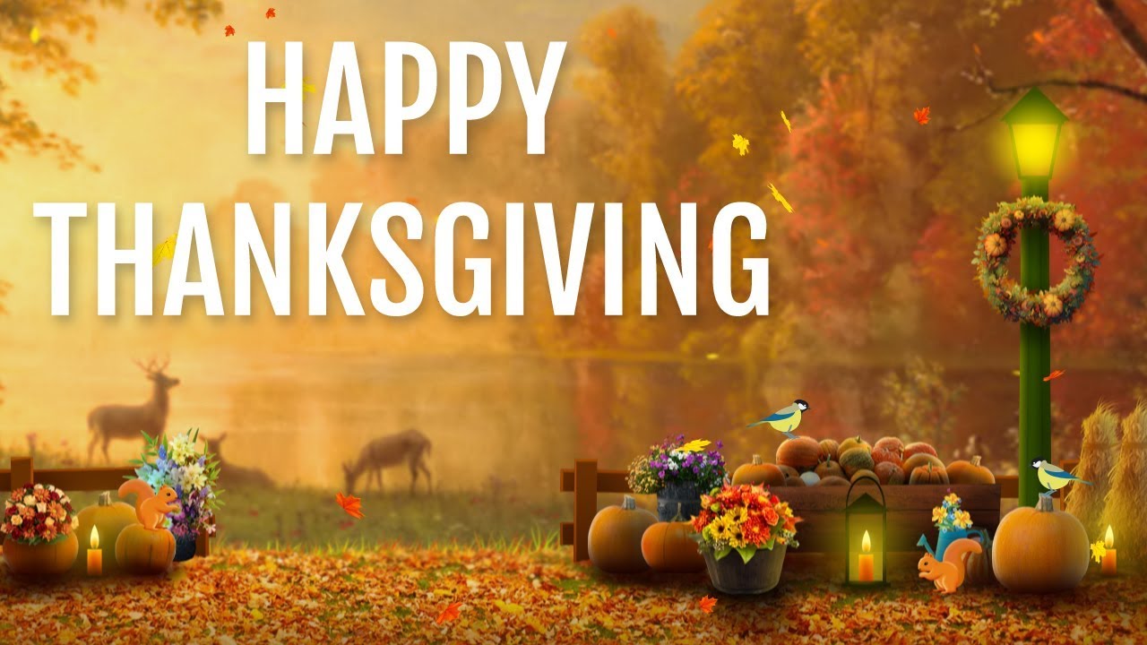 Happy Thanksgiving zucche e uccellini, 1280x720 720p, PC