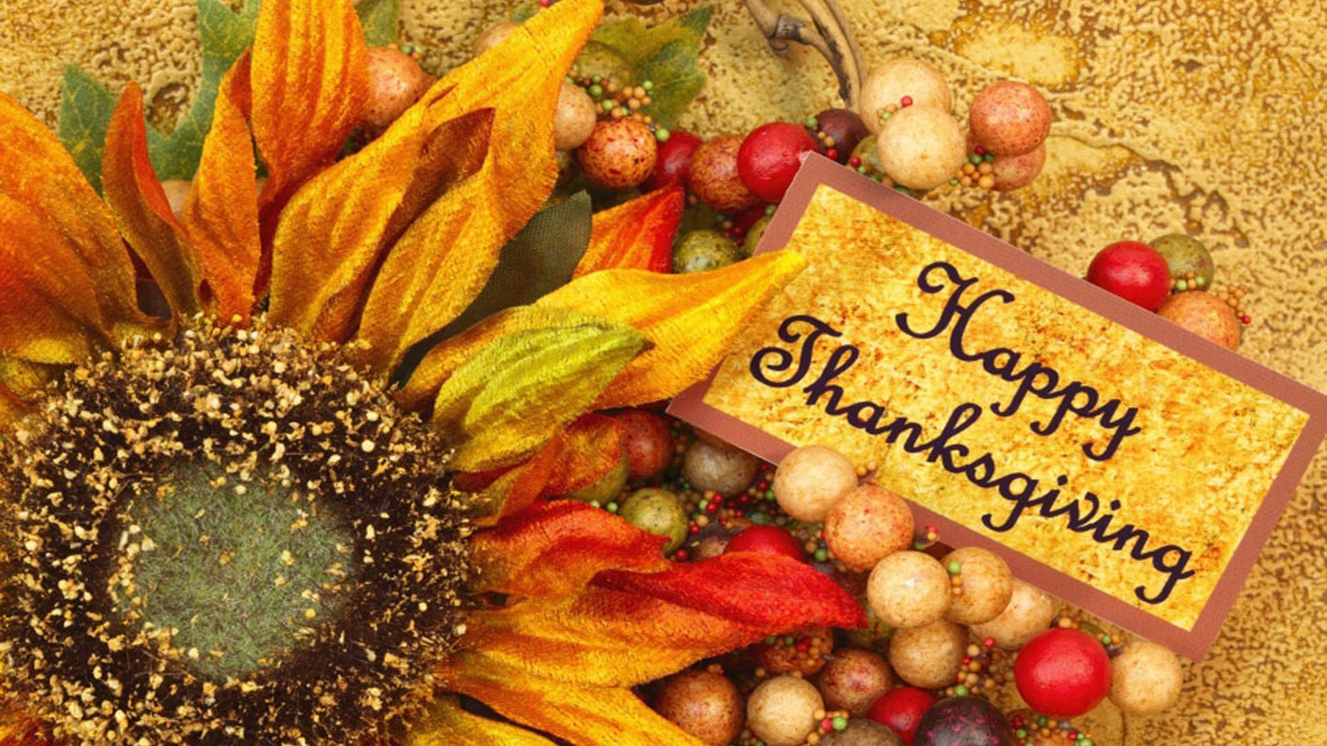 Girasole e cartello Thanksgiving, 1920x1080 Full HD 1080p, Desktop