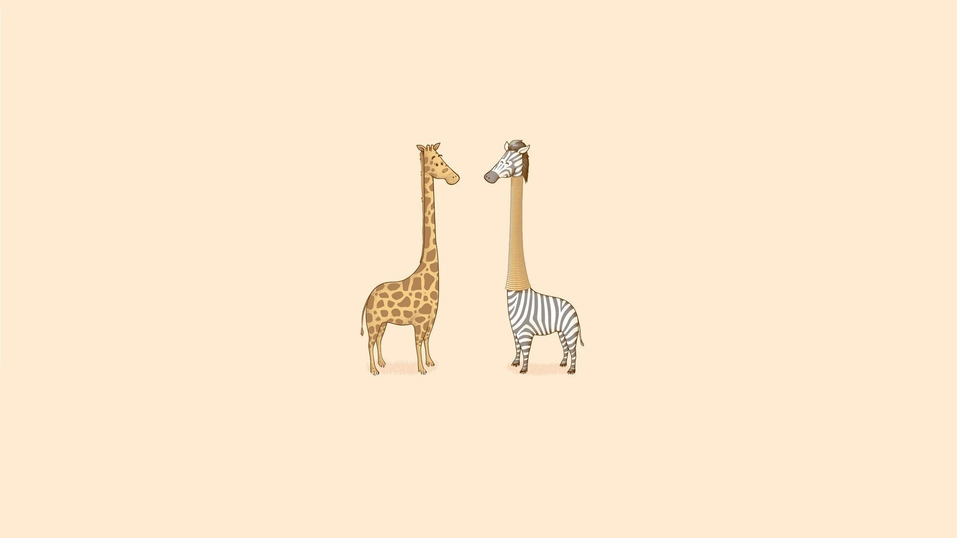 Giraffa e zebra con colli scambiati, 1920x1080 Full HD 1080p, PC Desktop