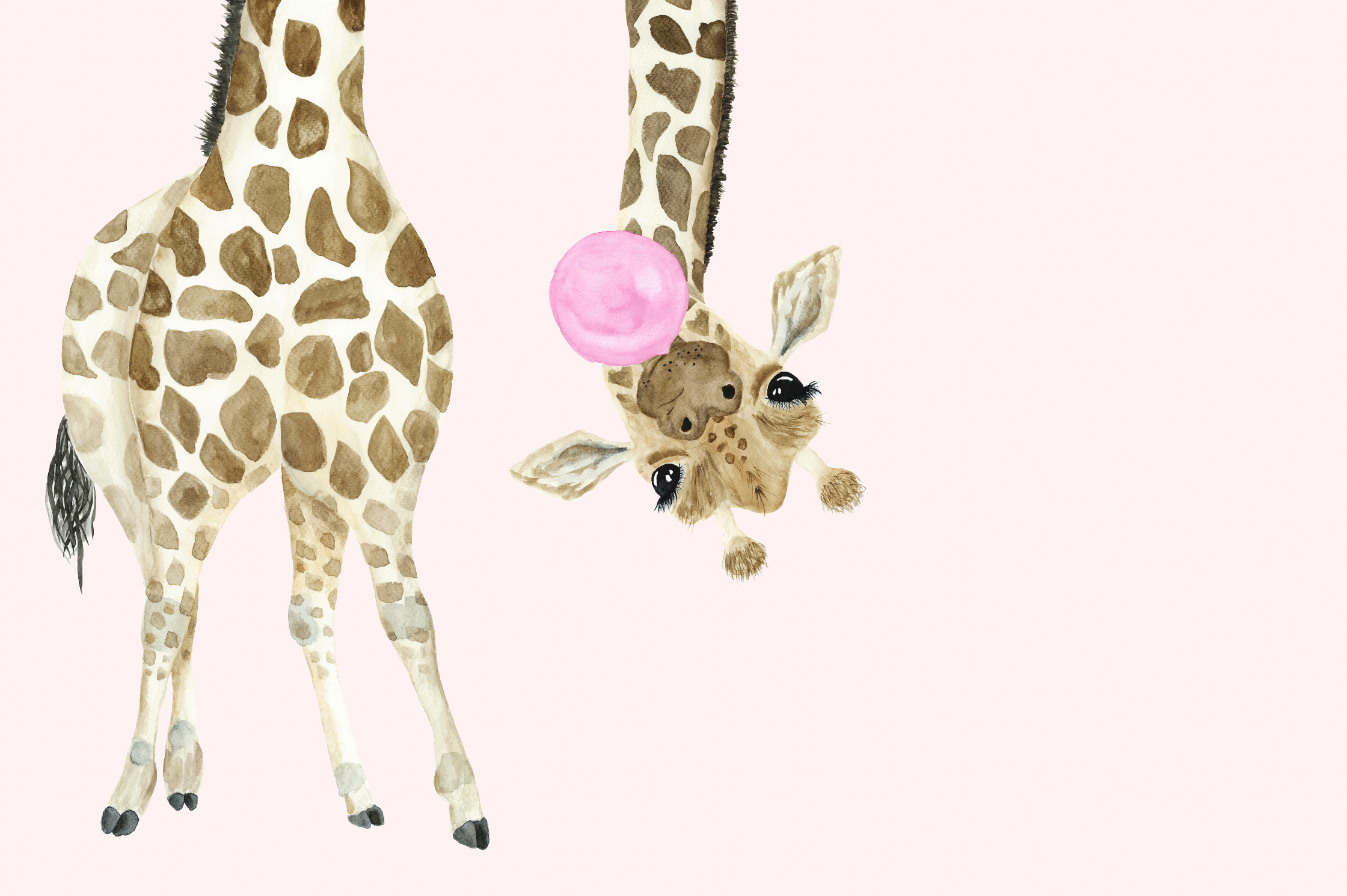 Giraffa acquerello con fiore rosa, 2240x1490 Hi-Res, Desktop