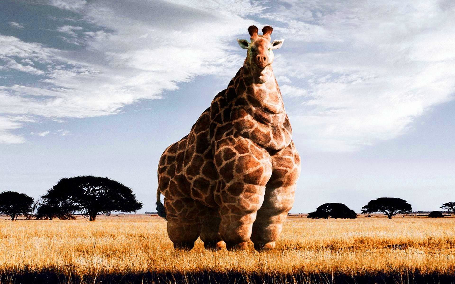 Giraffa surreale corpo umano, 1920x1200 WUXGA, PC Desktop