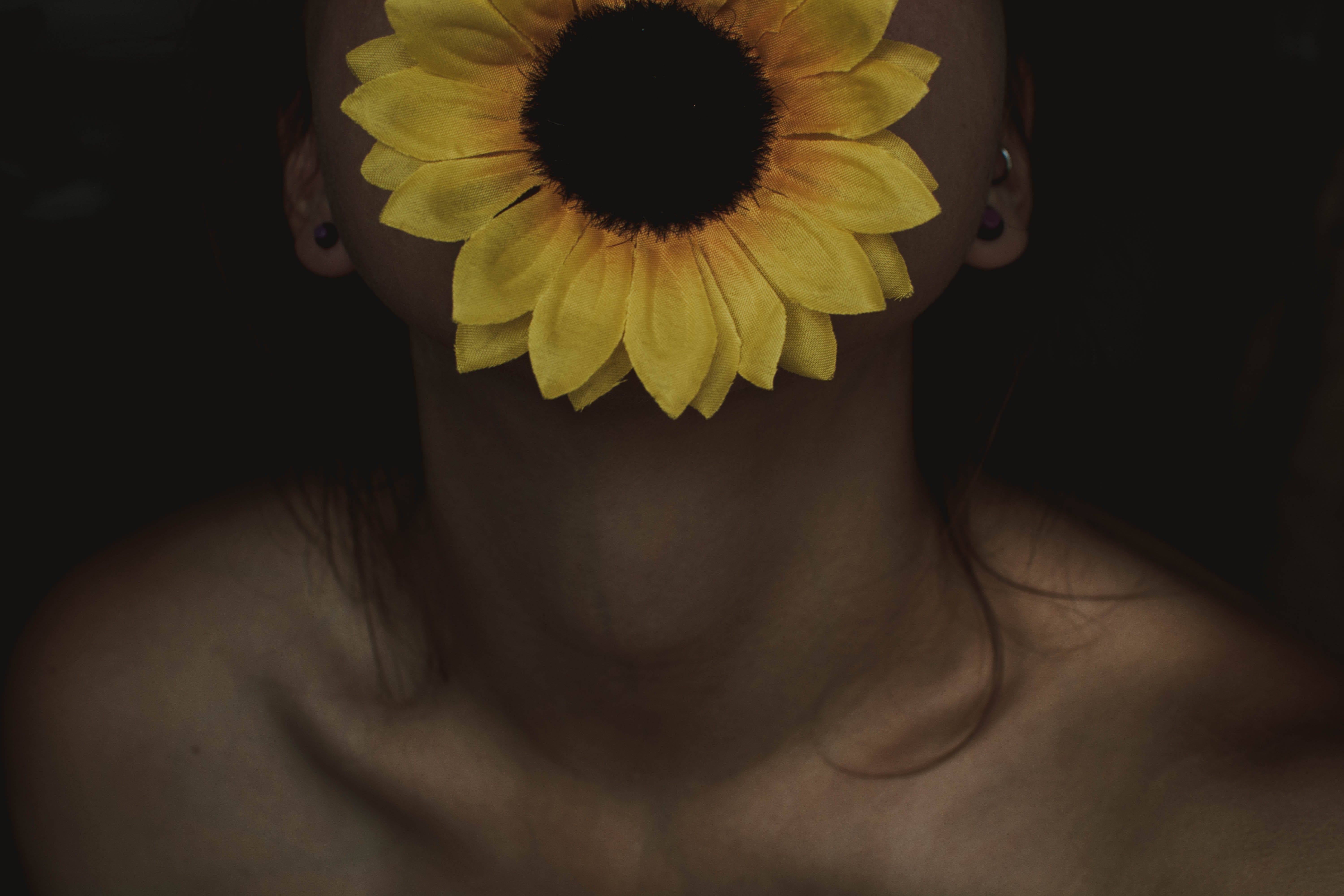 Girasole giallo su volto, 6000x4000 Ultra HD, Monitor 4K